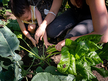 Beim Ackern im Garten erfahren die Kinder, wie Pflanzen aus der Erde wachsen und was sie dafür brauchen. © FRÖBEL e. V. / Foto:  Bettina Straub